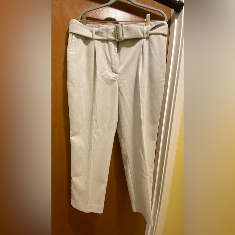Ann Taylor petite wool pants size 14P
